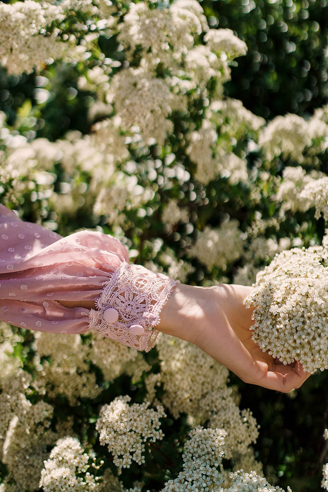Dotty - Image 4